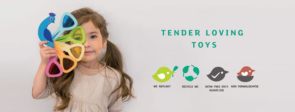 Tender Leaf Toys