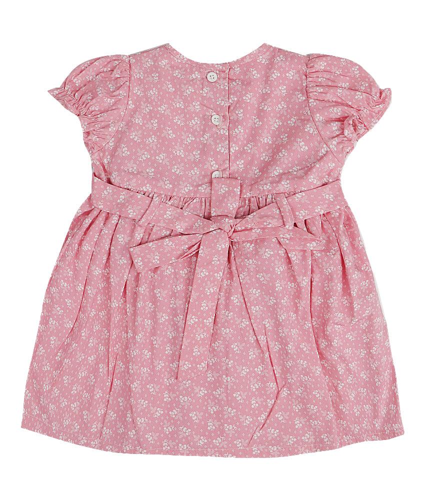 Baby Lite Pink Dress